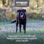 Nutramax Dasuquin Soft Chews for Large Dogs