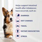 Nutramax Proviable DC Capsules for Pets, 30 Count