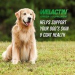 Welactin Omega-3 Oil for Dogs - 480 ml