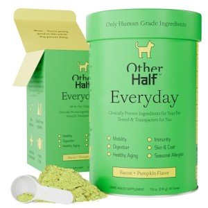 Everyday Dog Multivitamin for Joint & Immune Support