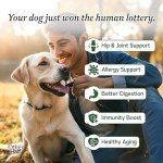 Everyday Dog Multivitamin for Joint & Immune Support