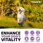 Chewable Dog Multivitamin with Glucosamine - 170 Treats