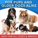 BARK&SPARK Omega 3 Fish Oil Treats for Dogs