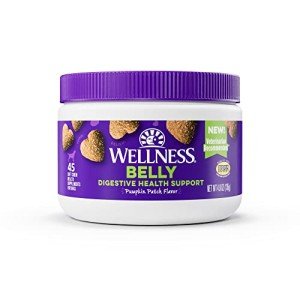 Wellness Pumpkin Patch Soft Chews for Dogs, 45 Count