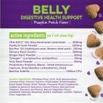 Wellness Pumpkin Patch Soft Chews for Dogs, 45 Count