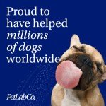 Probiotics for Dogs - Gut Health Chews