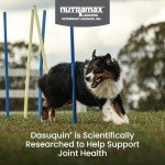 Dasuquin MSM Chewables for Large Dogs - 150 Count