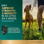 VetriScience Hip & Joint Chews for Dogs, 120 Count