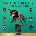 VetriScience Hip & Joint Chews for Dogs, 120 Count