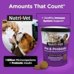 Nutri-Vet Probiotic Chews for Dogs, 120 Count
