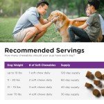 Nutri-Vet Probiotic Chews for Dogs, 120 Count