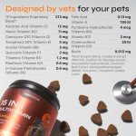 15-in-1 Dog Vitamins & Joint Chews