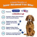 Zesty Paws Senior Dog Multivitamin Treats - 90ct