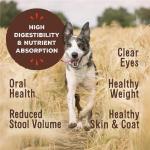 Primal Pet Foods Freeze-Dried Canine Chicken Formula 14 oz