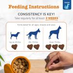 Zesty Paws Senior Dog Multivitamin Treats - 90ct