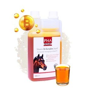 PHA Liquid Vitamin B Complex for Horses 1L