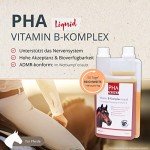PHA Liquid Vitamin B Complex for Horses 1L