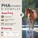 PHA Liquid Vitamin B Complex for Horses 1L
