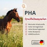 PHA Liquid Vitamin B Complex for Horses 1L