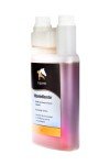 Equanis Vitamin Booster for Strong Immune Support