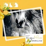 EquiMove Immune Support for Horses and Dogs