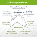VitPet+ Zink Forte Plus - Premium Zinc Pellets for Horses