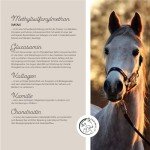 Joint Support Powder for Horses – 850g Blend