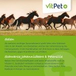 VitPet+ Zink Forte Plus - Premium Zinc Pellets for Horses