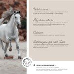 Joint Support Powder for Horses – 850g Blend