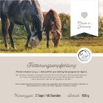 Joint Support Powder for Horses – 850g Blend