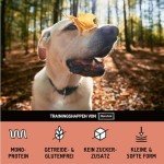 Training Treats for Dogs - Horse Flavor, Grain-Free