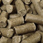 Eucalyptus Horse Treats - Refreshing Snack (1 kg)