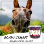 Supravit Dog & Horse Natural Vitamin C Treats