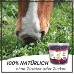 Supravit Dog & Horse Natural Vitamin C Treats