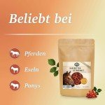 Martenbrown® Dried Whole Rose Hips 2.5kg – Natural Supplement for Horses and Ponies
