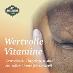 Martenbrown® Dried Whole Rose Hips 2.5kg – Natural Supplement for Horses and Ponies