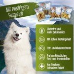 DeliBest Light Horse Tendon Dental Sticks for Dogs