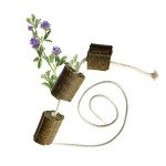 LAX Horse Play Rope with Alfalfa Treats
