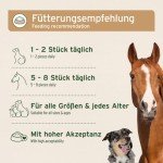 AniForte Coconut Sticks Dog Treats 500g