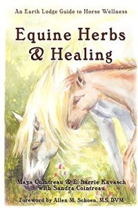 Herbal Remedies for Horse Wellness Guide