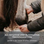 NØRSHOLM EQUESTRIAN Balance Pad Set for Horses