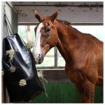 Dönges Haybag for Horses and Dogs - 9kg Capacity