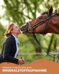 Premium Mineral Salt Lick for Horses and Livestock