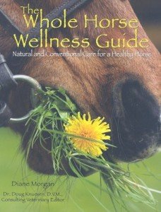 Essential Guide to Horse Wellness and Care