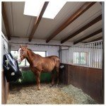 Dönges Haybag for Horses and Dogs - 9kg Capacity