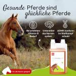PHA Liquid Vitamin B Complex for Horses 1L
