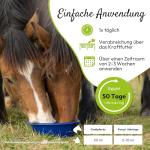 PHA Liquid Vitamin B Complex for Horses 1L