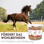 Supravit Flaxseed Treats for Horses and Ponies