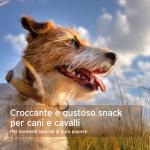 AniForte Coconut Sticks Dog Treats 500g