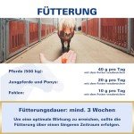 Vetripharm EQUIPUR Zinc Forte for Horses 1kg